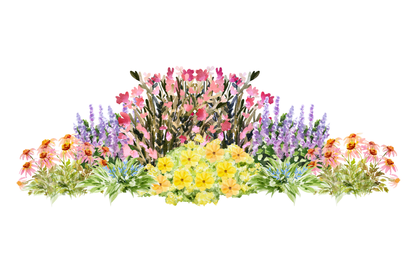 Sunny Midwest Garden for Narrow Spaces