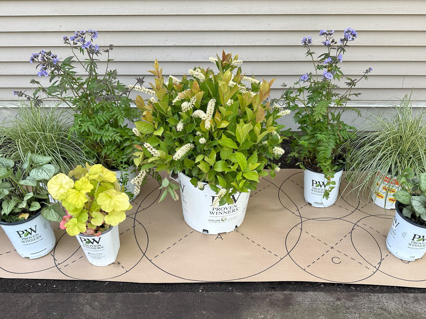 Shady Midwest Garden
