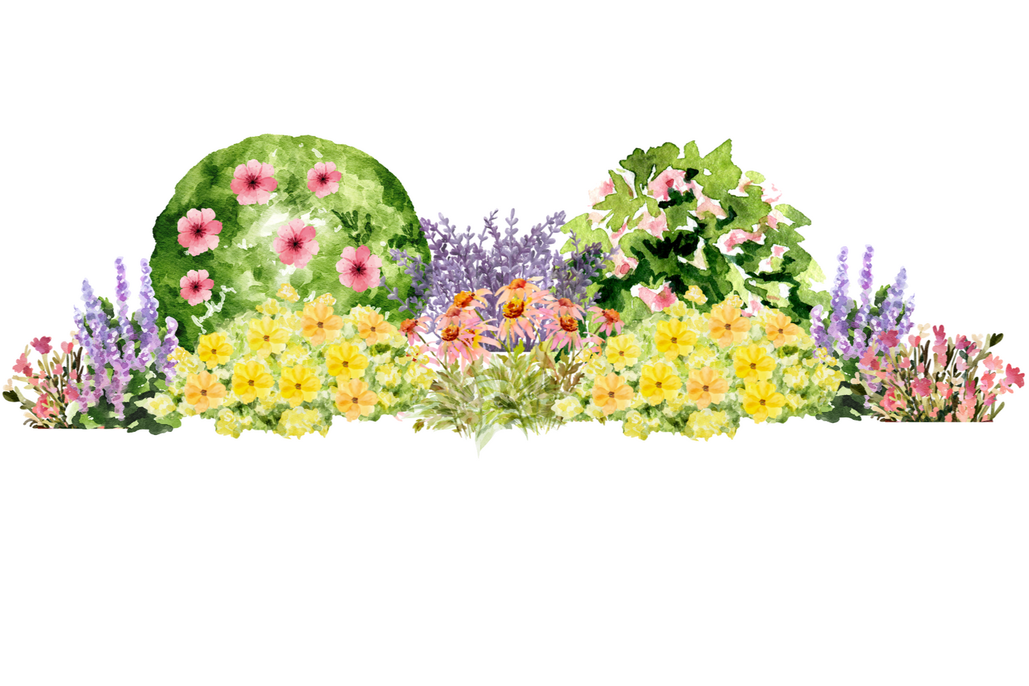 Sun-Kissed Cottage Garden