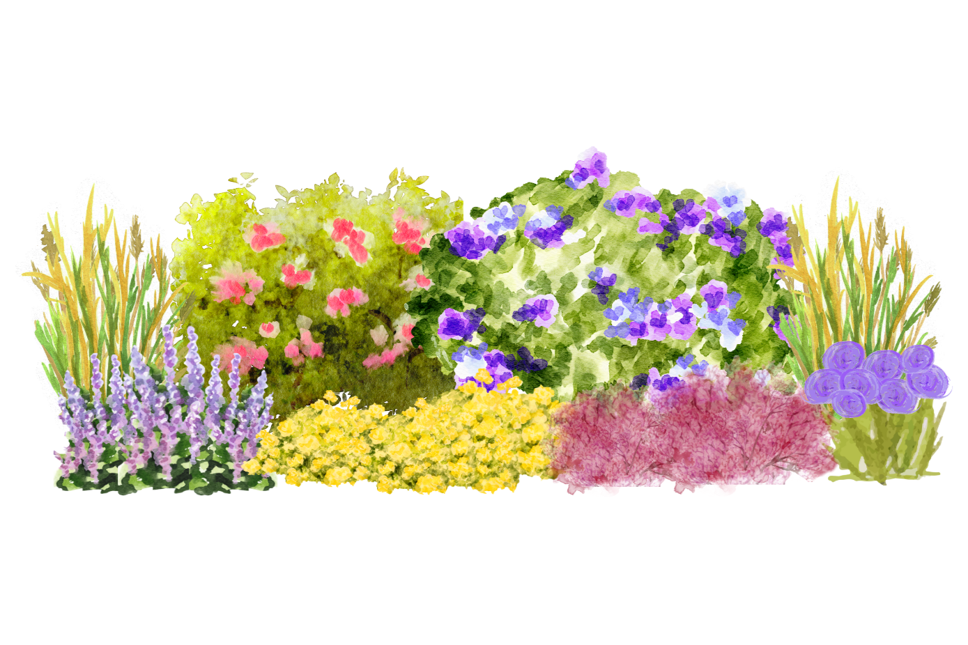 Sunny Midwest Garden