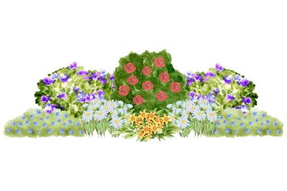 Sun-Kissed Cottage Garden for Narrow Spaces