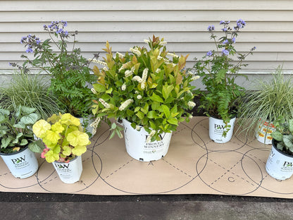 Sunny Midwest Garden